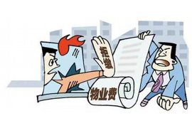 索县专业要账公司